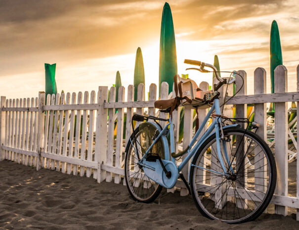 bici mare