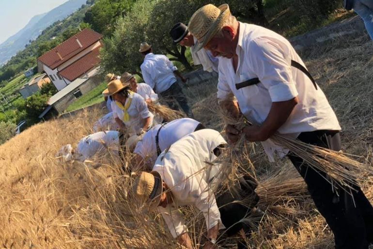 Festa del Grano
